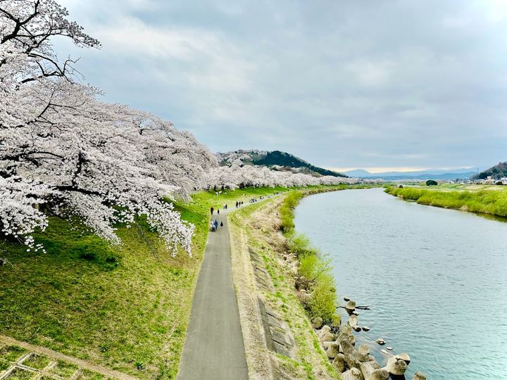 Sendai
